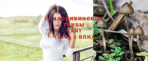 а пвп мука Волоколамск