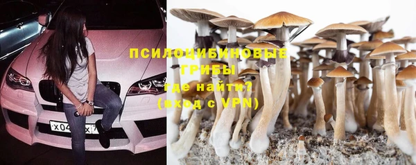 стафф Волосово