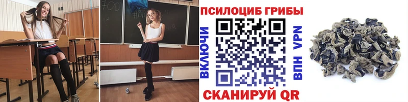 как найти закладки OMG ССЫЛКА Псилоцибиновые грибы GOLDEN TEACHER Новоржев